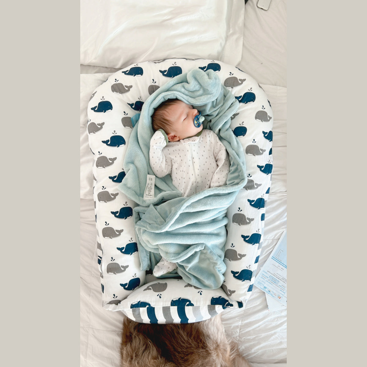 Baby Lounger for Newborns (Whales)