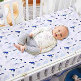 Crib Bedding Sets for Boys - Blue Dinosaur