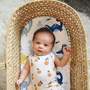 Rainbow World Ultra Soft Microfiber Crib Sheet